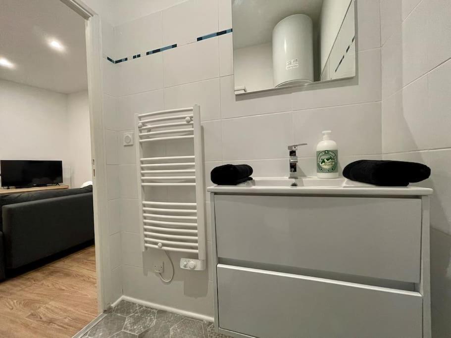 Les Appartements D'Arthur - Pont-Neuf Carcassonne Zewnętrze zdjęcie
