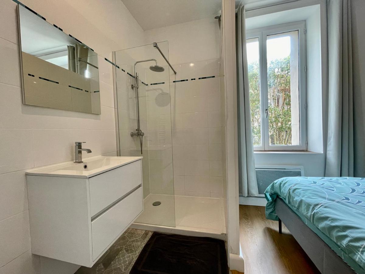 Les Appartements D'Arthur - Pont-Neuf Carcassonne Zewnętrze zdjęcie